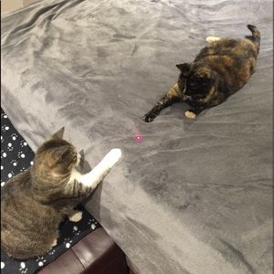 Meet your Posher, Katherine